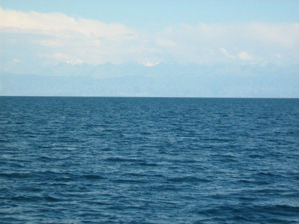 Татьяна Франк