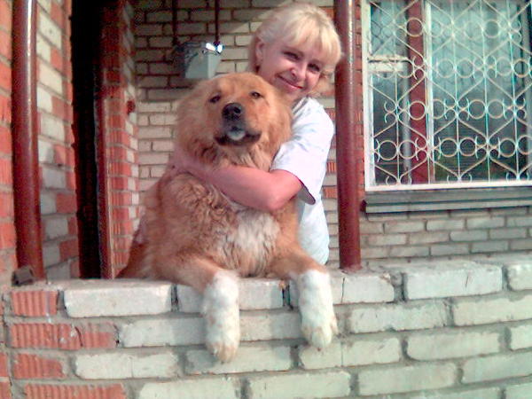 Светлана Соловьева