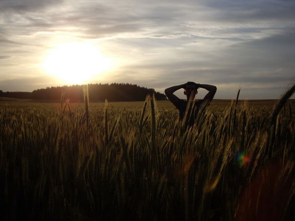 Александер Ф.