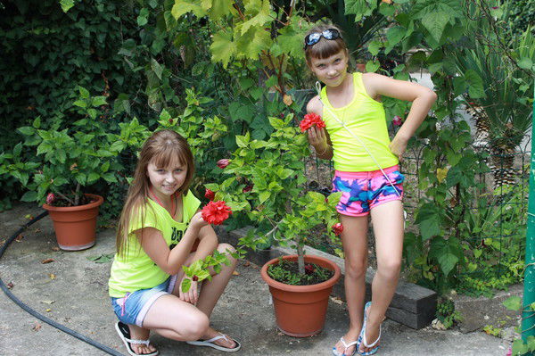 Анютка Комельё