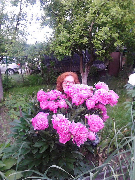 Инна Руцкая