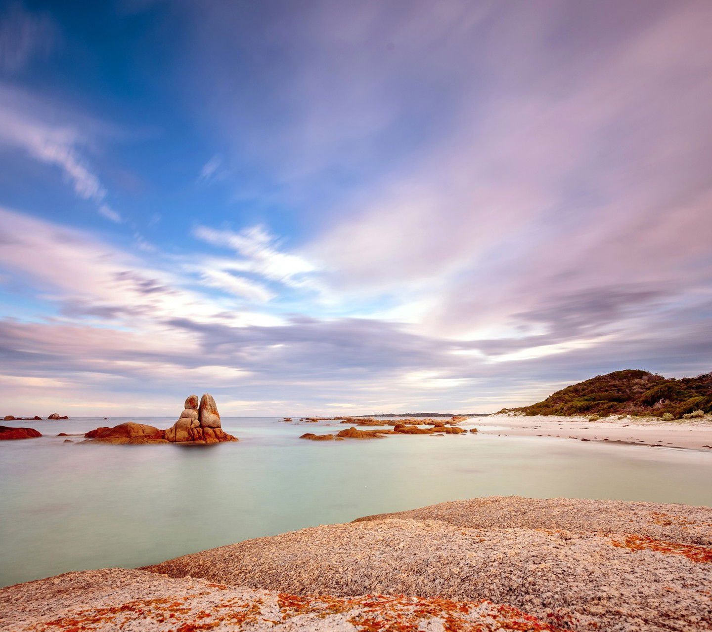 Алексей Еремеев