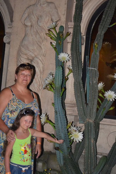 Татьяна Рогулина