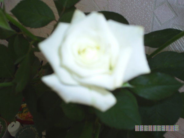 Александр Десятун