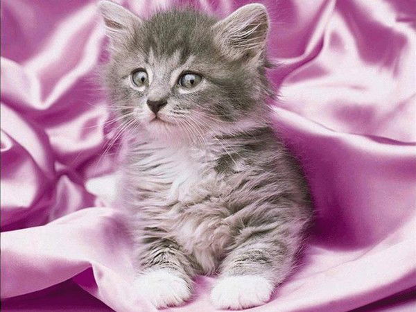 Зинаида Алексеева