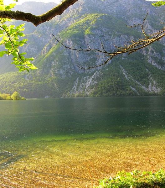 Наталья Радионова