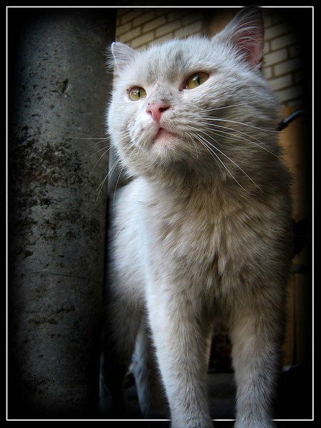 Матвей Маштаков