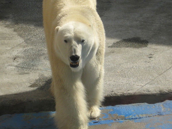 Виталий Гордиенко