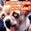 Игорь Кулеша