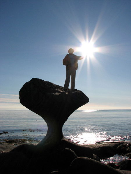 Елена Виноградова