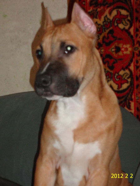 Денис Индюхин