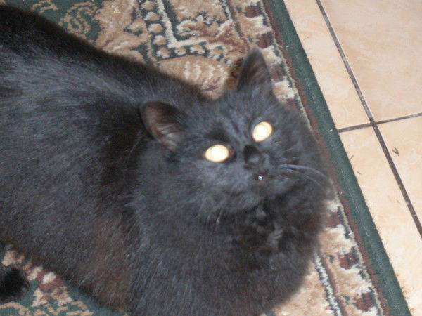 Иван Геруля