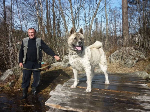 Игорь Гуркин