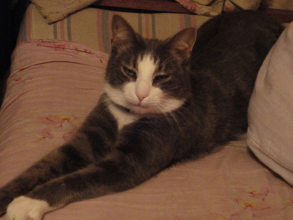 Анастасия Журавская