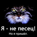 Николай Антипов