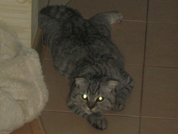 Наталья Бурцева