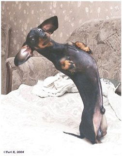 Алена Мирончук