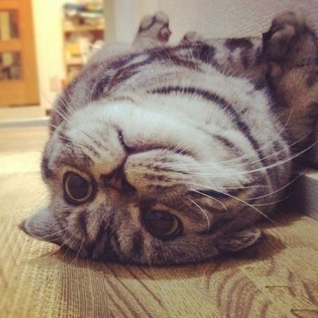 Логопеды Прекрасные