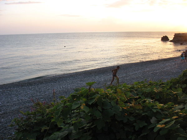 Алексей Харитонов