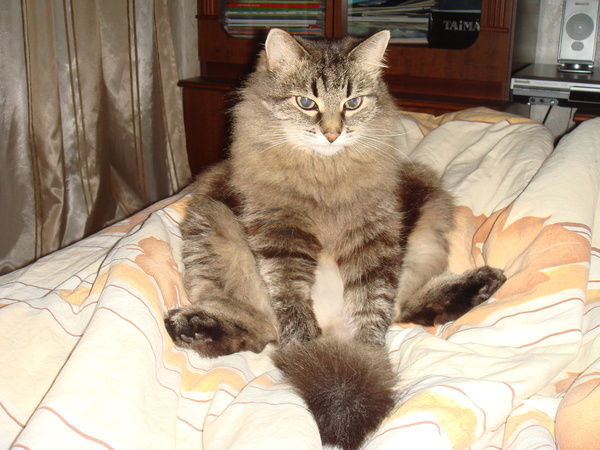 Ануфрий Евлампиевич