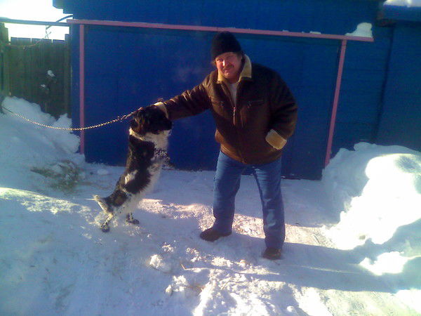 Анатолий Сотников