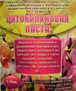 Ольга Николаева