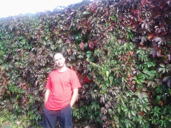 Игорь Григорчик