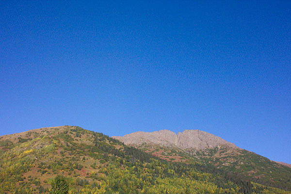 Алексей Непомнящий