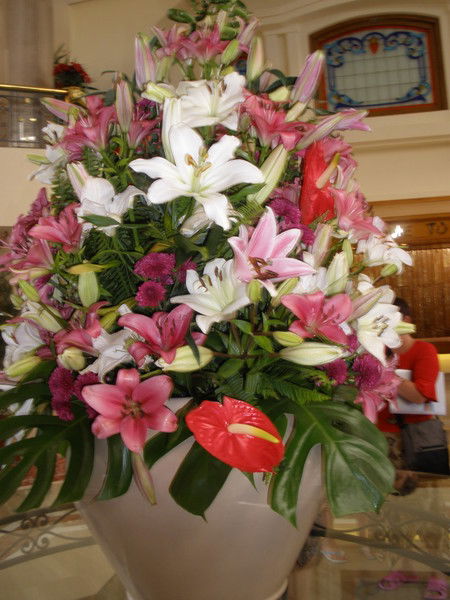 Наталья Петрова