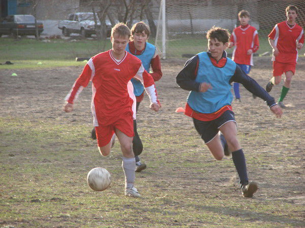 Дмитрий Полянских