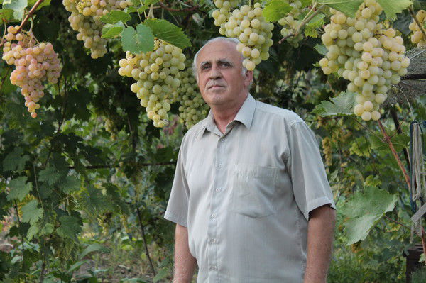 Евгений Комоза