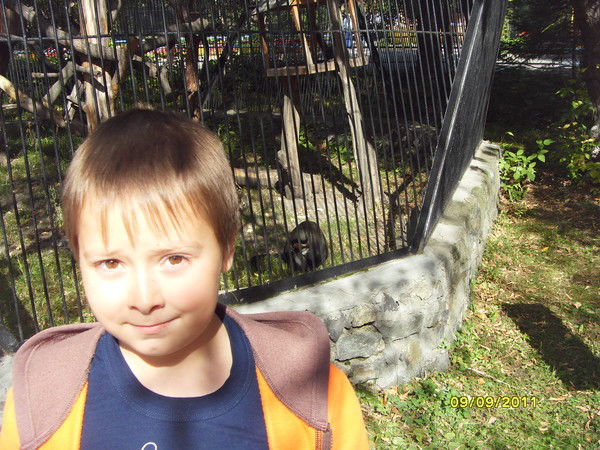 Артём Митрошин