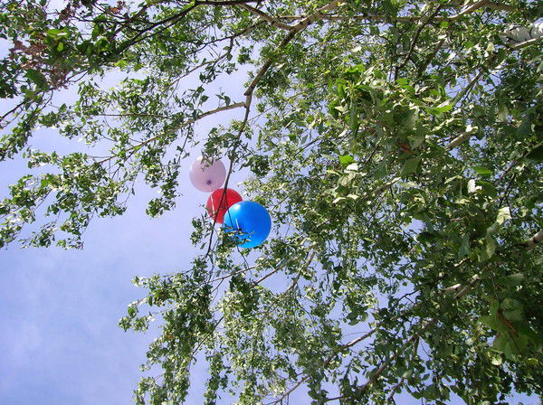 Вера Викторовна Власова