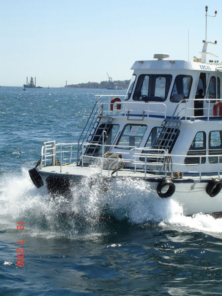 Светлана Лысенко