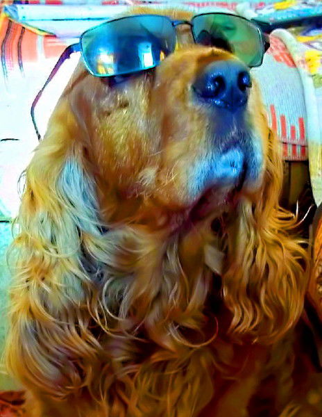 Олег Павлів