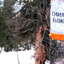 Андрей Русских