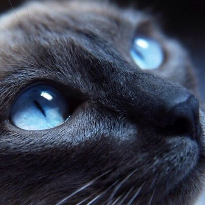 Настя Прокофьева