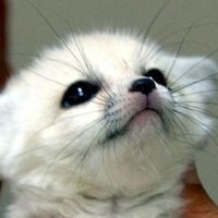 Дмитрий Потупо