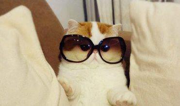 Аскар Абеуов