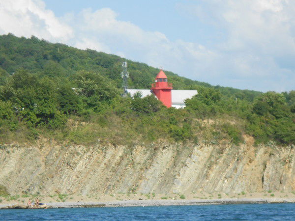 Елена Тархова