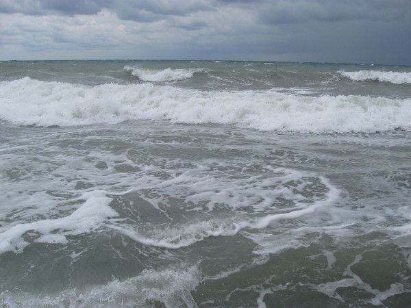 Анастасия Лейшина