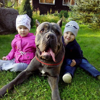 Елена Маркина