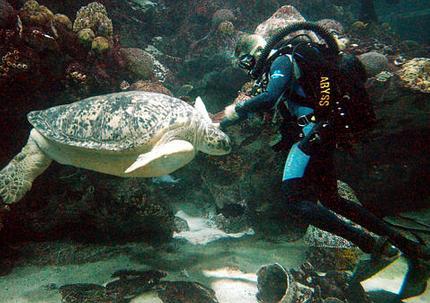 Барков Валерий
