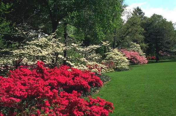 Тендер Надбугский