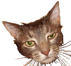 Андрей Левченко