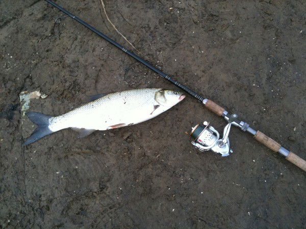 Михаил Бочаров