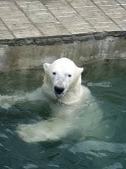 Маргарита Сабитова