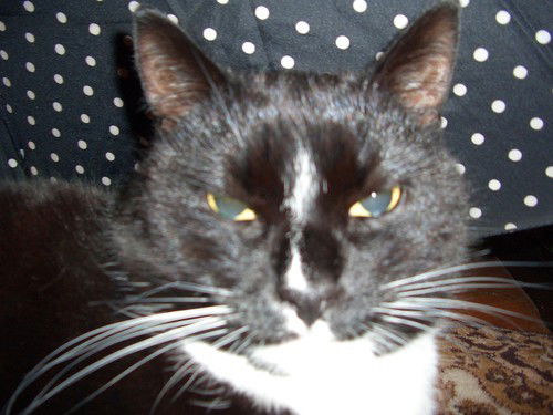 Разумова Татьяна