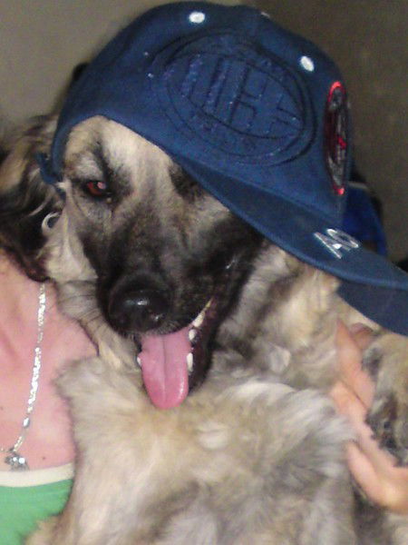 Тима Кулиева