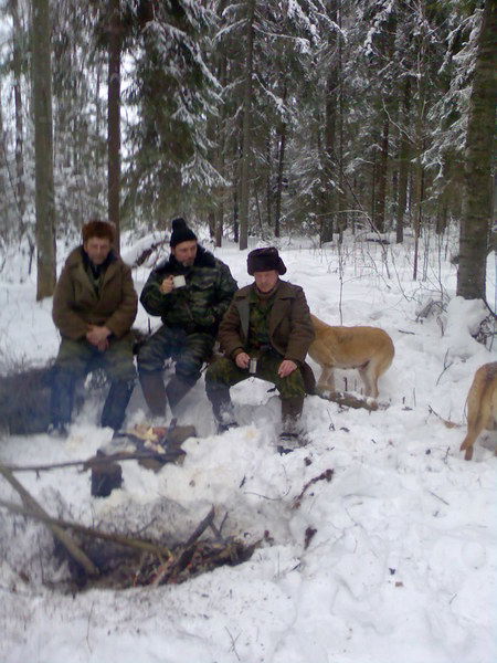 Сергей Чучаев